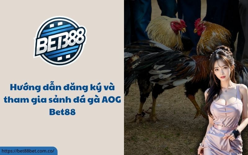 Sảnh đá gà AOG bet88